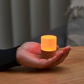 Natúr színű LED dimmelhető asztali lámpa üveg búrával (magasság 6 cm) Lemelia – Gingko