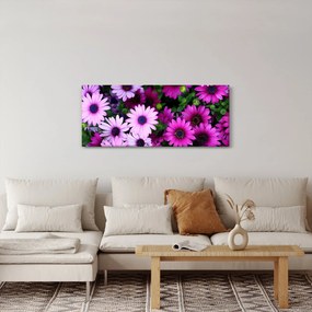 Kép - Virágok (120x50 cm)