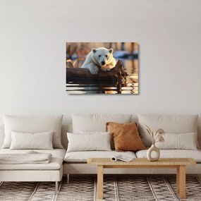 Üveg kép - Jegesmedve (70x50 cm)