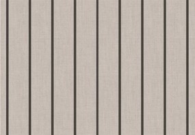 Parato Cristiana Masi Top Stripes Riga 6 fekete-szürke csíkos vlies tapéta – 38462
