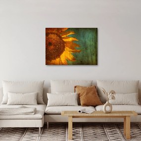 Kép - napraforgó (70x50 cm)