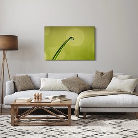 Víz csepp a fűben képe (90x60 cm)
