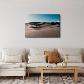 Kép - A sivatagból (90x60 cm)
