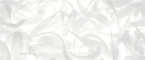 Kép - Szirmok (120x50 cm)