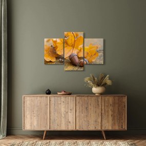 Kép - Őszi makk (90x60 cm)