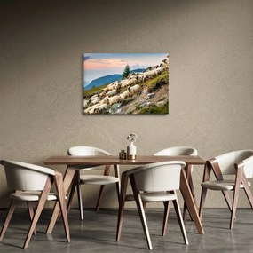 Kép - Egy nyáj birka (70x50 cm)