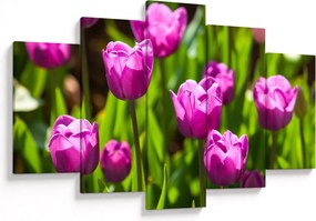Tulipánok a réten képe (150x105 cm)