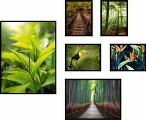 Poszterek 6db-os fotó kompozíció szett zöld