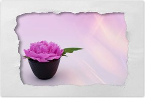 Poszterek 60x40 Spa Wellness Virág