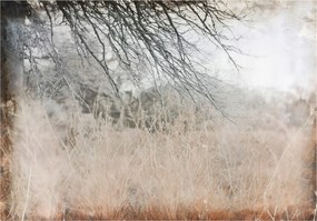 Fotótapéta Absztrakt Retro Ágak Loft Falra Hálószoba Nappali 400x280