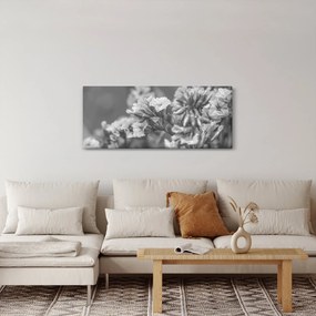 Kép - Szárított virágok (120x50 cm)