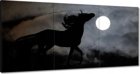 Vászonkép 180x90 Éjszakai paripa