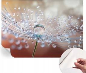 Öntapadós tapéta Fali furnér 3D Csepp a pitypangon 208x146 cm