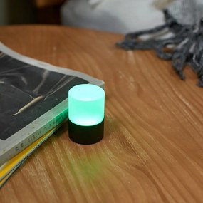 Fekete LED dimmelhető asztali lámpa üveg búrával (magasság 6 cm) Lemelia – Gingko