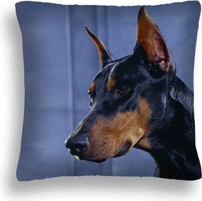 Kutya Párna 02 Dobermann Párnahuzat 40X40
