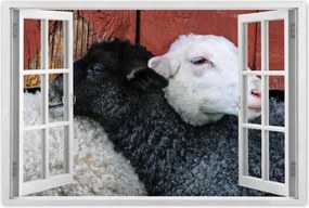 Poszterek 90x60 Szerelem Érzés Párkapcsolat