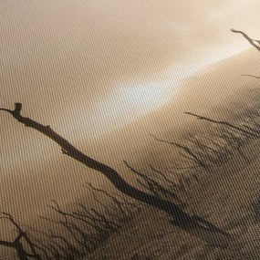 Kép - Csupasz fák (150x105 cm)