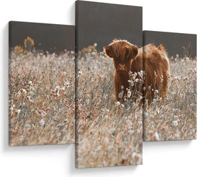 Kép - Skót tehén a virágban (90x60 cm)