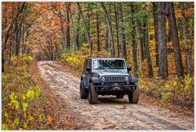 Poszterek 120x80 Jeep Wrangler az erdőben