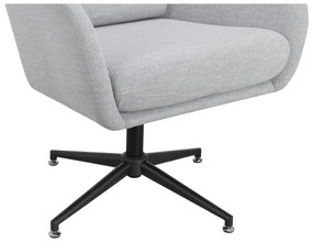 Világosszürke bársony füles fotel Vanessa – Støraa