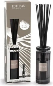 Aroma diffúzor pálcikákkal otthoni beltéri illat 100ml Reve Blanc XX