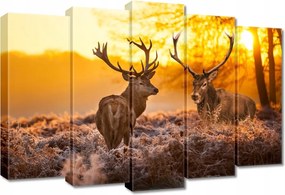 Vászonkép 70x50 Szarvasok a bömbölőn