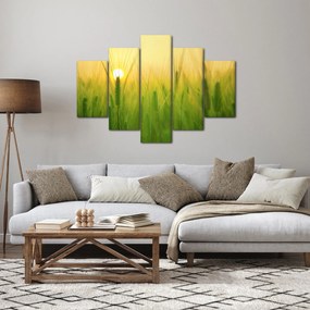 Kép - Mező gabonával (150x105 cm)