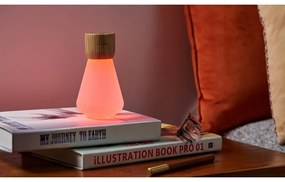 Natúr színű szabályozható asztali lámpa (magasság 13 cm) Pentagon – Gingko