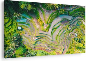 A rizsföldek képe madártávlatból (90x60 cm)