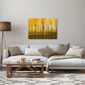 Kép - Faültetvény (70x50 cm)