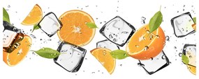 Akril üveg kép Narancs jéggel oah-50150012