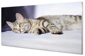 Üvegképek fekvő macska 100x50 cm