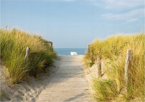 Fotótapéta Fa ösvény a tengerparton tenger és vinil dűnék 254x184 +ragasztó