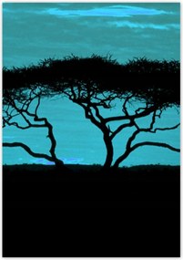 Poszterek 70x100 Akác a szavannán