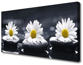 Vászonkép Daisy Stones Plant 100x50 cm