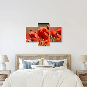 Pipacsok képe (90x60 cm)