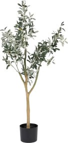 Olajfa műnövény (magasság 112 cm) Olive Tree – Ixia