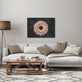 Narancsságra virág képe (70x50 cm)