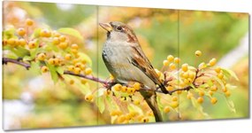 Vászonkép 180x90 Madarak