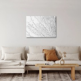 Kép - Pampafű N⁰2 (70x50 cm)