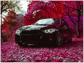 Poszterek 135x100 Fekete Bmw Ősz
