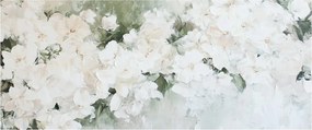 Kép - Fehér virág absztrakció (120x50 cm)