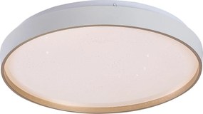 Rabalux 71452 - ZERAVA LED fényerőszabályozható mennyezeti lámpa LED/34W/230V 3000-6500K átm. 38 cm + távirányító