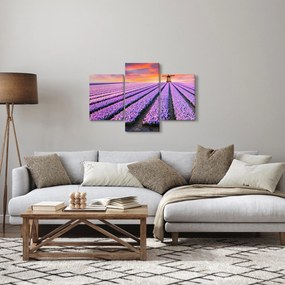 Kép - virágfarm (90x60 cm)