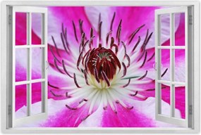 Poszterek 120x80 Fehér-lila szirmok