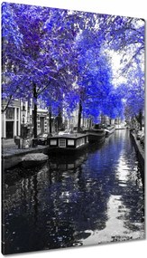 Vászonkép 80x120 Búzavirág Amsterdam