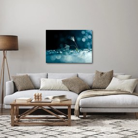 Kép - Makró (70x50 cm)