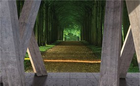 Flizelin fotótapéta Beton oszlopok erdő ösvény fény 300x210 +ragasztó