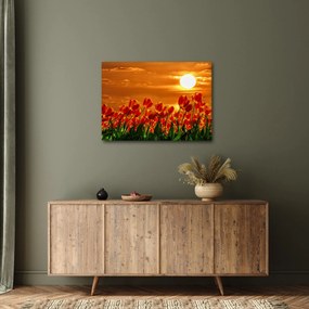 Kép egy virágzó mező tulipánokkal (70x50 cm)