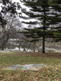 Poszter 30x40cm Central Park, New York, Assaf Frank